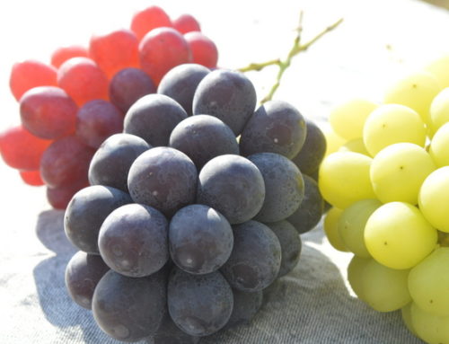 香山ラベンダーの丘 世羅町商工会